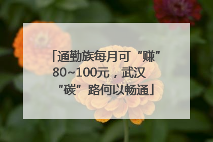 通勤族每月可“赚”80~100元，武汉“碳”路何以畅通