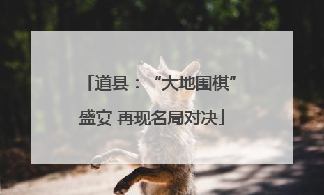 道县：“大地围棋”盛宴 再现名局对决
