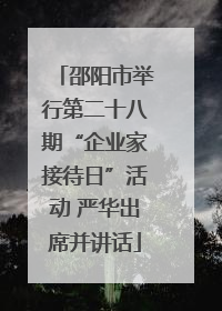 邵阳市举行第二十八期“企业家接待日”活动 严华出席并讲话