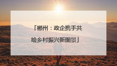 郴州：政企携手共绘乡村振兴新图景