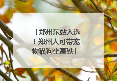 郑州东站入选！郑州人可带宠物猫狗坐高铁