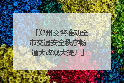 郑州交警推动全市交通安全秩序畅通大改观大提升