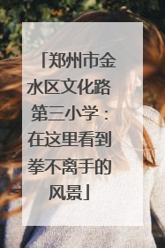 郑州市金水区文化路第三小学：在这里看到拳不离手的风景