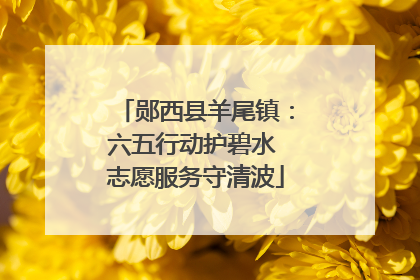 郧西县羊尾镇：六五行动护碧水 志愿服务守清波