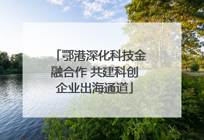 鄂港深化科技金融合作 共建科创企业出海通道