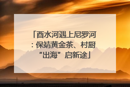 酉水河遇上尼罗河：保靖黄金茶、村厨“出海”启新途