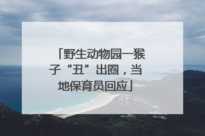 野生动物园一猴子“丑”出圈，当地保育员回应
