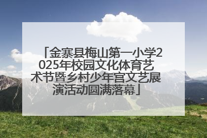 金寨县梅山第一小学2025年校园文化体育艺术节暨乡村少年宫文艺展演活动圆满落幕