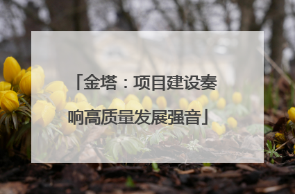 金塔：项目建设奏响高质量发展强音