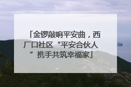 金锣敲响平安曲，西厂口社区“平安合伙人”携手共筑幸福家