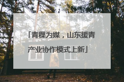 青稞为媒，山东援青产业协作模式上新