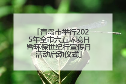青岛市举行2025年全市六五环境日暨环保世纪行宣传月活动启动仪式