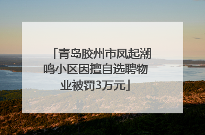 青岛胶州市凤起潮鸣小区因擅自选聘物业被罚3万元