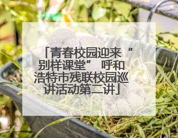 青春校园迎来“别样课堂” 呼和浩特市残联校园巡讲活动第二讲