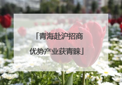 青海赴沪招商 优势产业获青睐