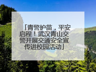 青警护苗，平安启程！武汉青山交警开展交通安全宣传进校园活动