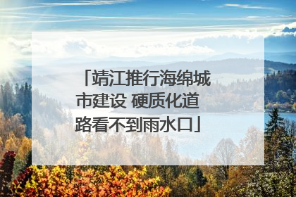 靖江推行海绵城市建设 硬质化道路看不到雨水口