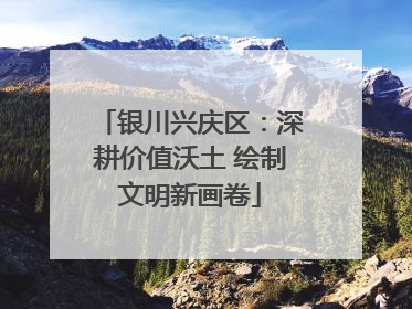 银川兴庆区：深耕价值沃土 绘制文明新画卷