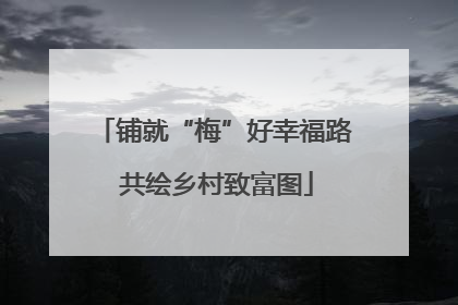 铺就“梅”好幸福路 共绘乡村致富图