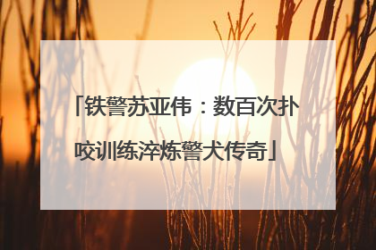 铁警苏亚伟：数百次扑咬训练淬炼警犬传奇