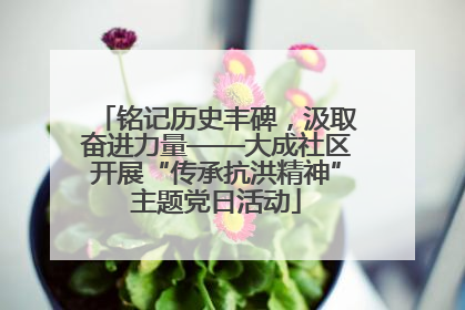 铭记历史丰碑，汲取奋进力量——大成社区开展“传承抗洪精神”主题党日活动