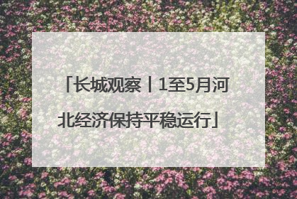 长城观察丨1至5月河北经济保持平稳运行