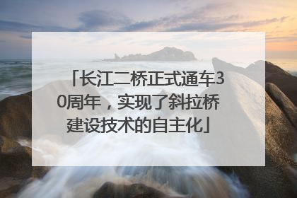 长江二桥正式通车30周年，实现了斜拉桥建设技术的自主化