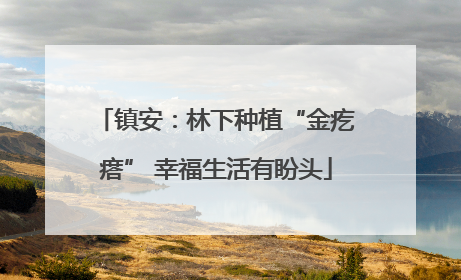 镇安：林下种植“金疙瘩” 幸福生活有盼头