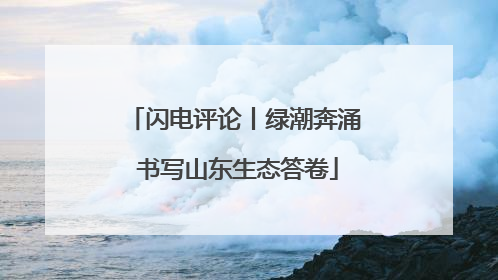 闪电评论丨绿潮奔涌 书写山东生态答卷