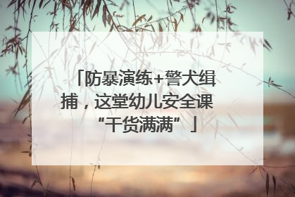 防暴演练+警犬缉捕，这堂幼儿安全课“干货满满”