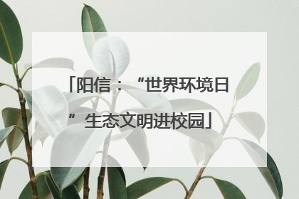 阳信：“世界环境日”生态文明进校园