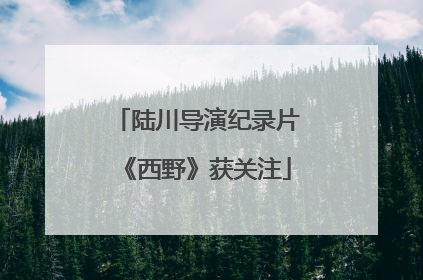 陆川导演纪录片《西野》获关注