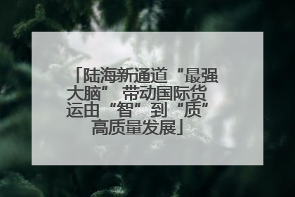 陆海新通道“最强大脑” 带动国际货运由“智”到“质”高质量发展