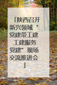 陕西召开新兴领域“党建带工建 工建服务党建”现场交流推进会
