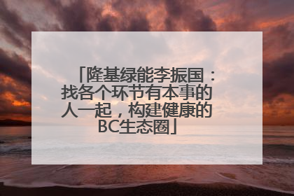 隆基绿能李振国：找各个环节有本事的人一起，构建健康的BC生态圈