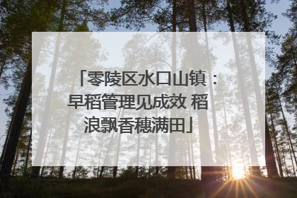 零陵区水口山镇：早稻管理见成效 稻浪飘香穗满田