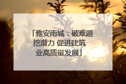 雅安雨城：破难题 挖潜力 促进建筑业高质量发展
