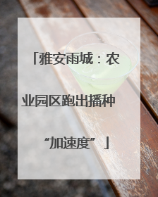 雅安雨城：农业园区跑出播种“加速度”