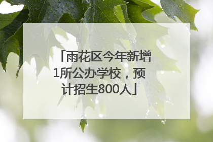 雨花区今年新增1所公办学校，预计招生800人