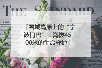雪域高原上的“宁波门巴”：海拔4500米的生命守护