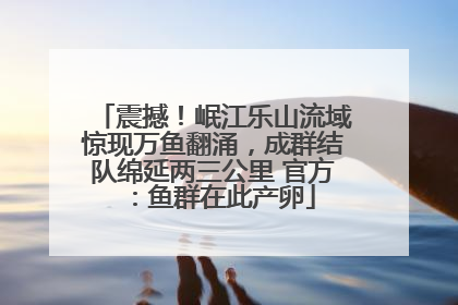 震撼！岷江乐山流域惊现万鱼翻涌，成群结队绵延两三公里 官方：鱼群在此产卵
