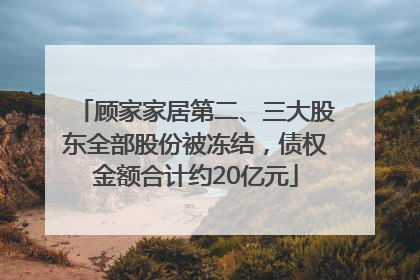 顾家家居第二、三大股东全部股份被冻结，债权金额合计约20亿元