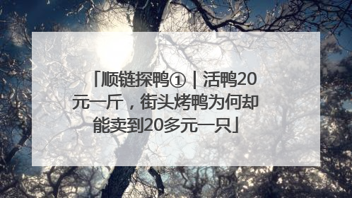 顺链探鸭①｜活鸭20元一斤，街头烤鸭为何却能卖到20多元一只
