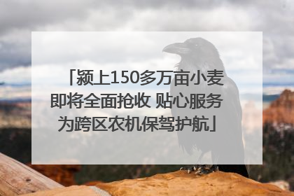 颍上150多万亩小麦即将全面抢收 贴心服务为跨区农机保驾护航