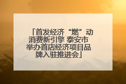 首发经济“燃”动消费新引擎 泰安市举办首店经济项目品牌入驻推进会
