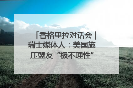 香格里拉对话会｜瑞士媒体人：美国施压盟友“极不理性” 欧洲国家无意与中国“脱钩断链”
