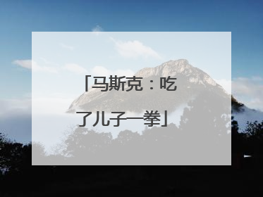 马斯克：吃了儿子一拳