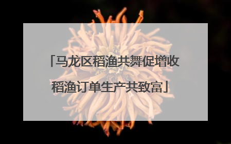 马龙区稻渔共舞促增收 稻渔订单生产共致富