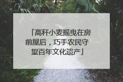 高秆小麦摇曳在房前屋后，巧手农民守望百年文化遗产