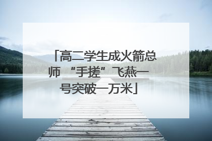 高二学生成火箭总师 “手搓”飞燕一号突破一万米